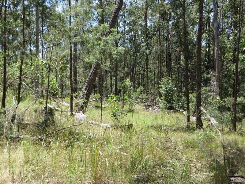 L4 Mud Flat Rd, Drake NSW 2469