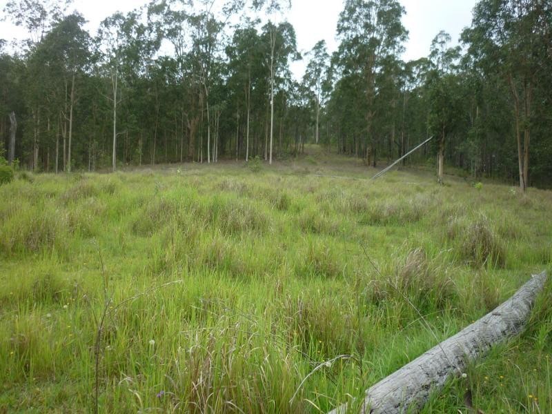 L1 Clarence Way , Louisa Creek, Tabulam NSW 2469