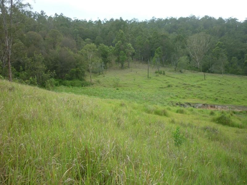 L1 Clarence Way , Louisa Creek, Tabulam NSW 2469