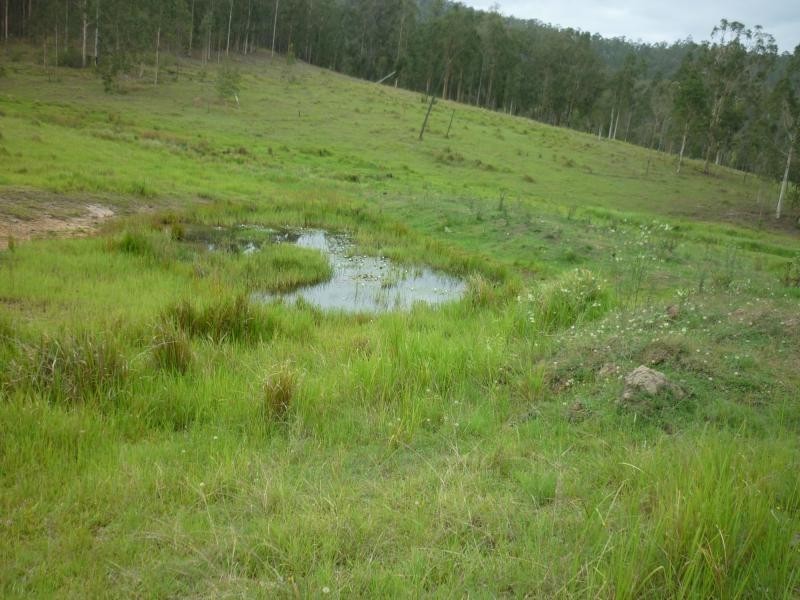 L1 Clarence Way , Louisa Creek, Tabulam NSW 2469