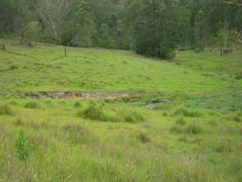 L1 Clarence Way , Louisa Creek, Tabulam NSW 2469