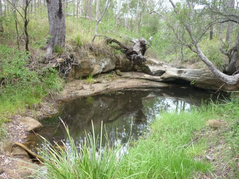 L1 Clarence Way , Louisa Creek, Tabulam NSW 2469