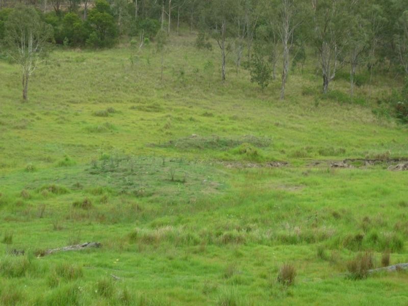 L1 Clarence Way , Louisa Creek, Tabulam NSW 2469