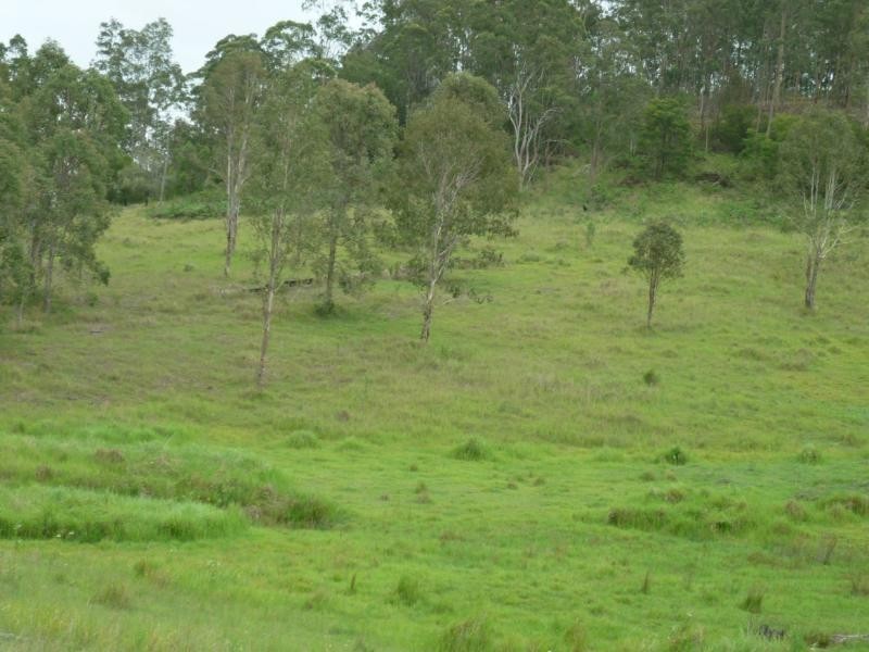 L1 Clarence Way , Louisa Creek, Tabulam NSW 2469