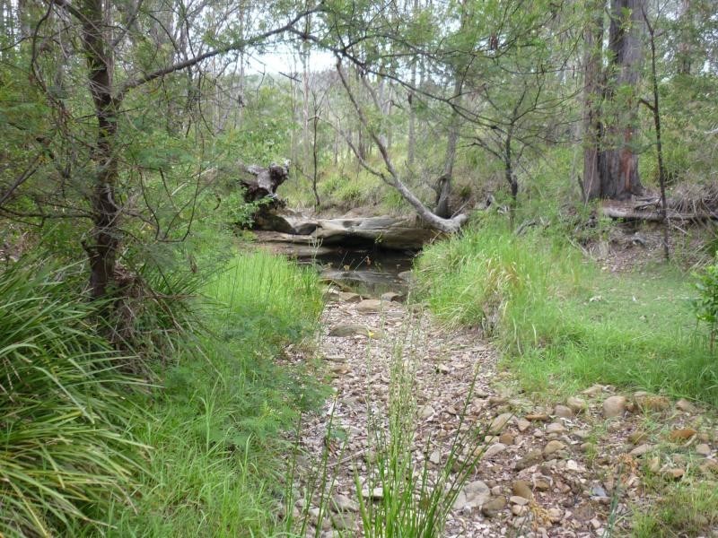 L1 Clarence Way , Louisa Creek, Tabulam NSW 2469