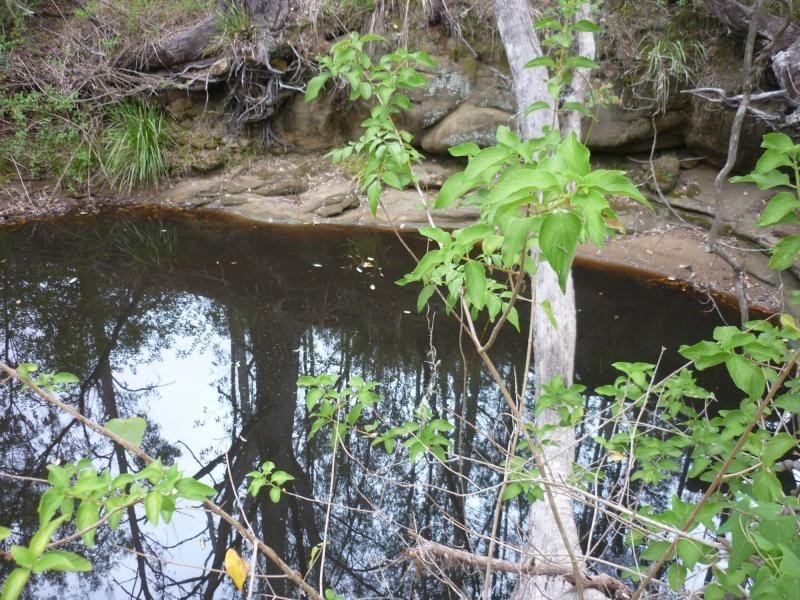 L1 Clarence Way , Louisa Creek, Tabulam NSW 2469