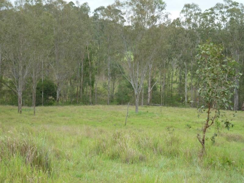 L1 Clarence Way , Louisa Creek, Tabulam NSW 2469
