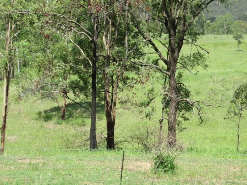 L1 Clarence Way , Louisa Creek, Tabulam NSW 2469