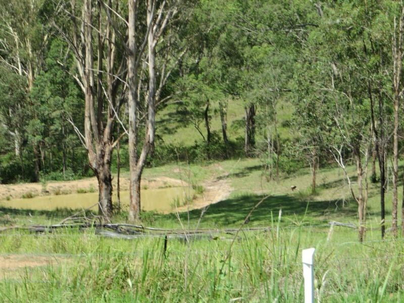 L1 Clarence Way , Louisa Creek, Tabulam NSW 2469