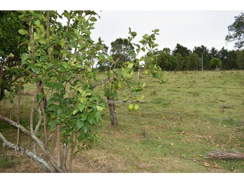 1405 Wyan Road, Via Casino, Rappville NSW 2469