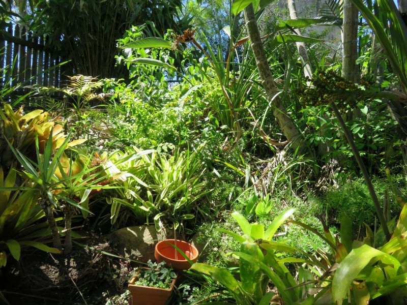 54 Walker Street, Casino NSW 2470