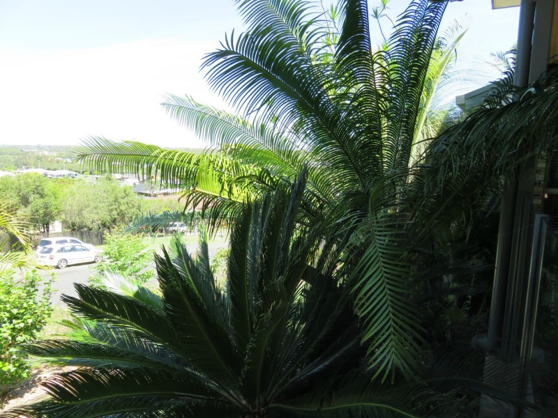 54 Walker Street, Casino NSW 2470