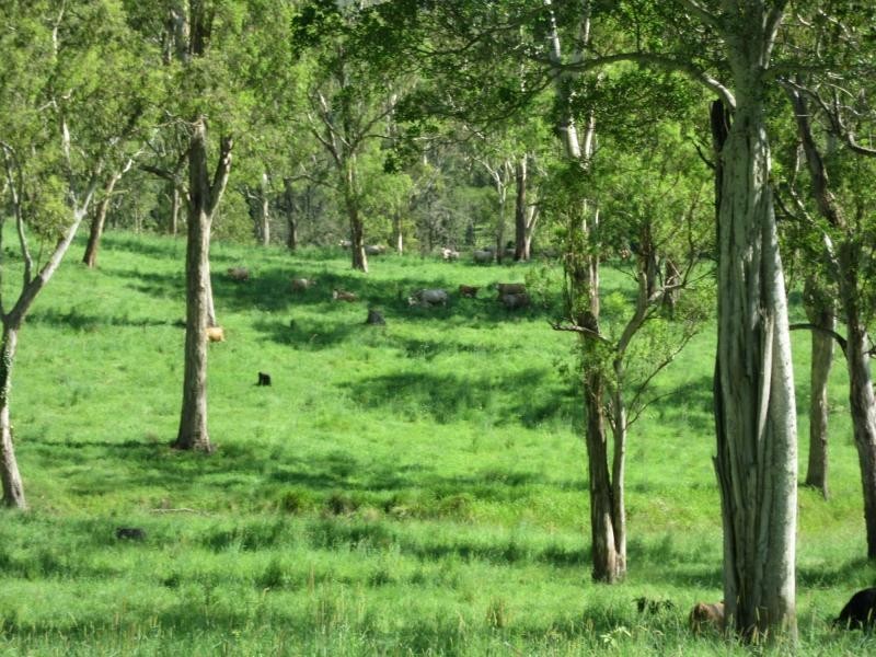 95 Chestnut Road, Eden Creek, Kyogle NSW 2474