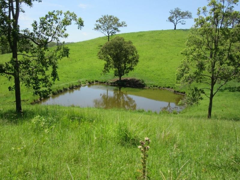 95 Chestnut Road, Eden Creek, Kyogle NSW 2474