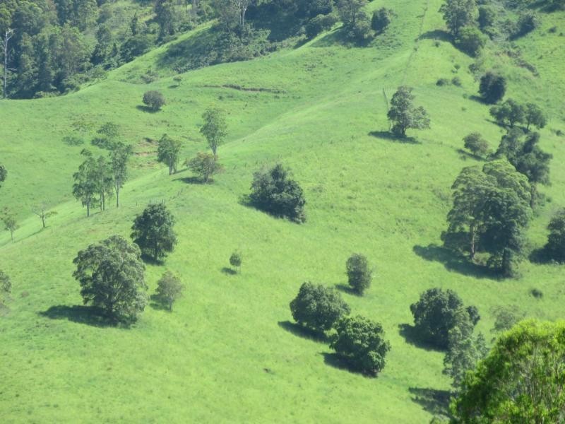 95 Chestnut Road, Eden Creek, Kyogle NSW 2474