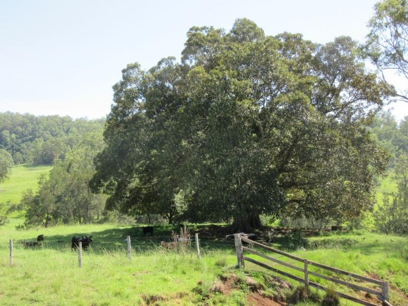 95 Chestnut Road, Eden Creek, Kyogle NSW 2474