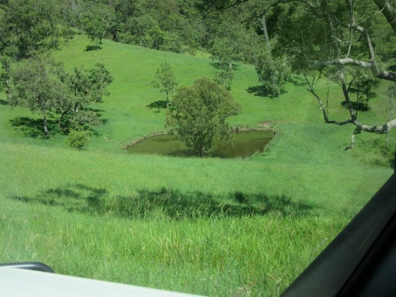 95 Chestnut Road, Eden Creek, Kyogle NSW 2474