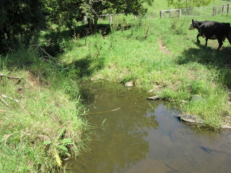 95 Chestnut Road, Eden Creek, Kyogle NSW 2474