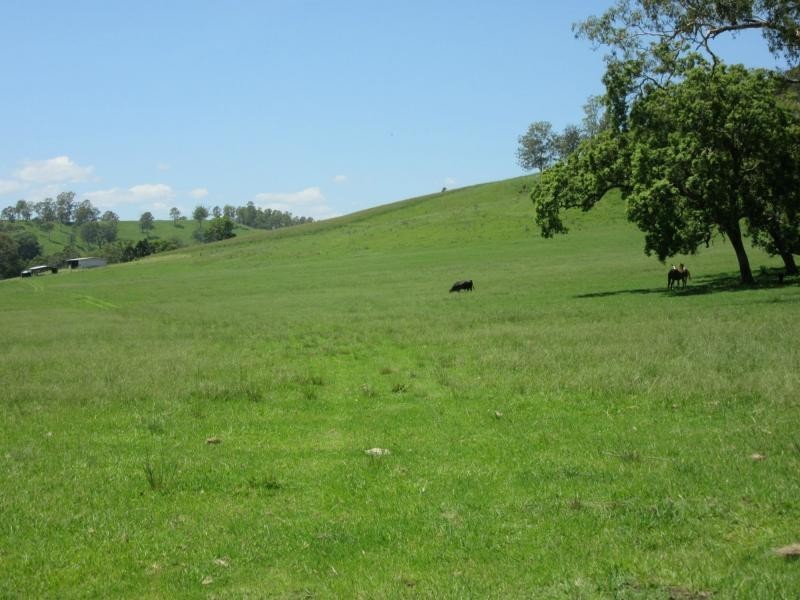 95 Chestnut Road, Eden Creek, Kyogle NSW 2474