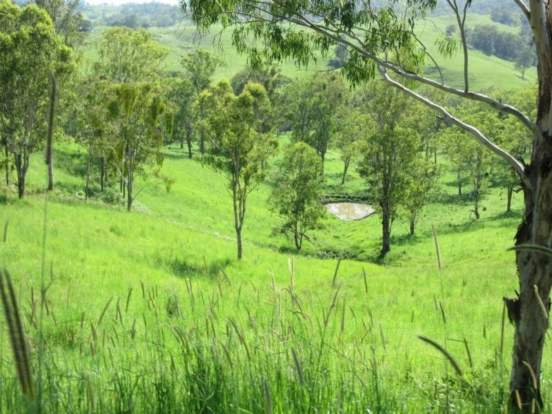 95 Chestnut Road, Eden Creek, Kyogle NSW 2474