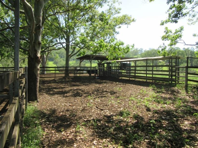 95 Chestnut Road, Eden Creek, Kyogle NSW 2474