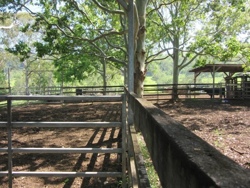 95 Chestnut Road, Eden Creek, Kyogle NSW 2474