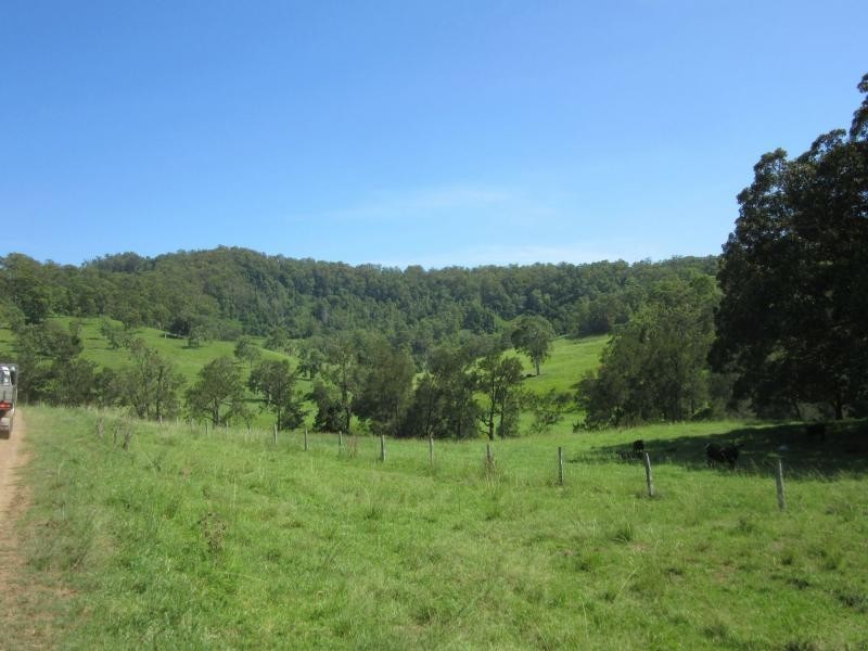 95 Chestnut Road, Eden Creek, Kyogle NSW 2474