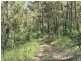 L148 Sugarbag Rd, Tabulam NSW 2469
