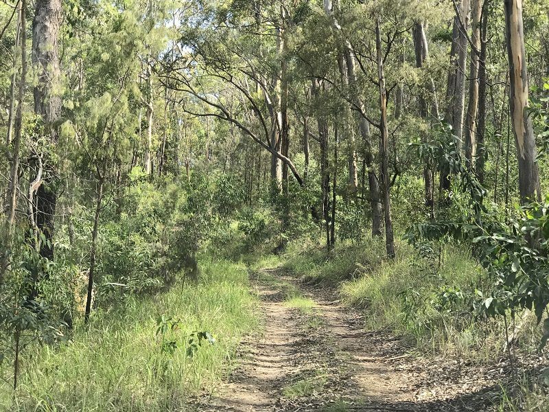 L148 Sugarbag Rd, Tabulam NSW 2469