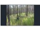 L148 Sugarbag Rd, Tabulam NSW 2469