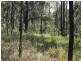 L148 Sugarbag Rd, Tabulam NSW 2469