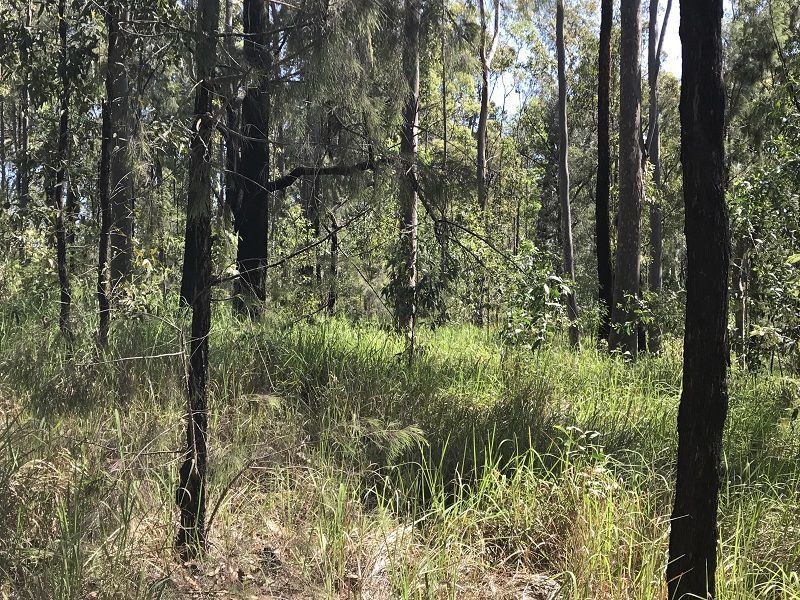 L148 Sugarbag Rd, Tabulam NSW 2469