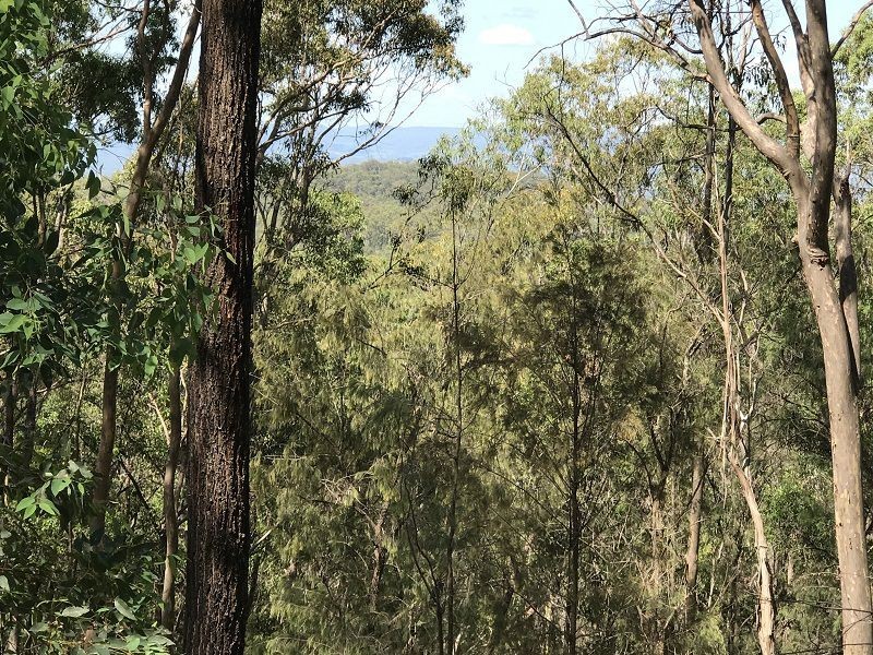 L148 Sugarbag Rd, Tabulam NSW 2469
