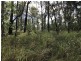 L148 Sugarbag Rd, Tabulam NSW 2469