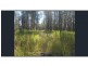 L148 Sugarbag Rd, Tabulam NSW 2469