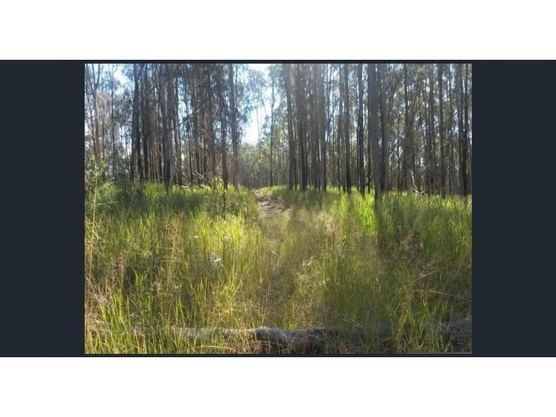 L148 Sugarbag Rd, Tabulam NSW 2469