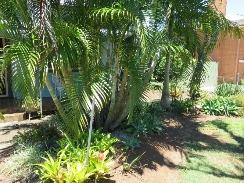 4 Saville Street, VIA KYOGLE, Geneva NSW 2474