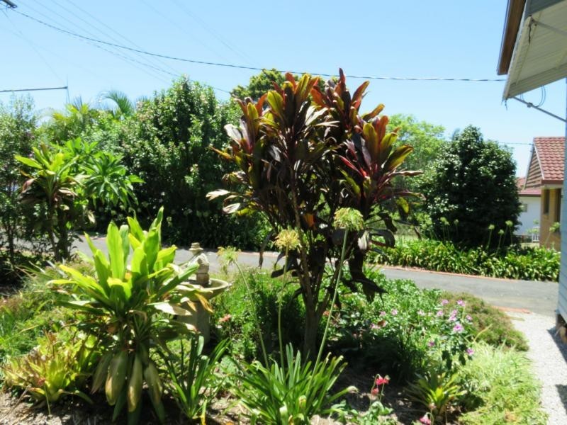 4 Saville Street, VIA KYOGLE, Geneva NSW 2474