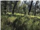 L149 Sugarbag Rd, Tabulam NSW 2469