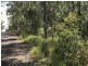 L149 Sugarbag Rd, Tabulam NSW 2469