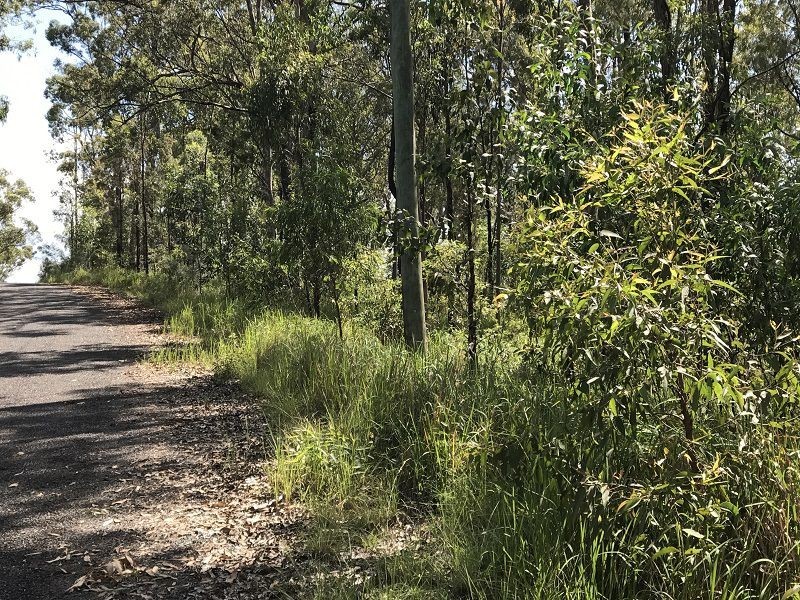 L149 Sugarbag Rd, Tabulam NSW 2469