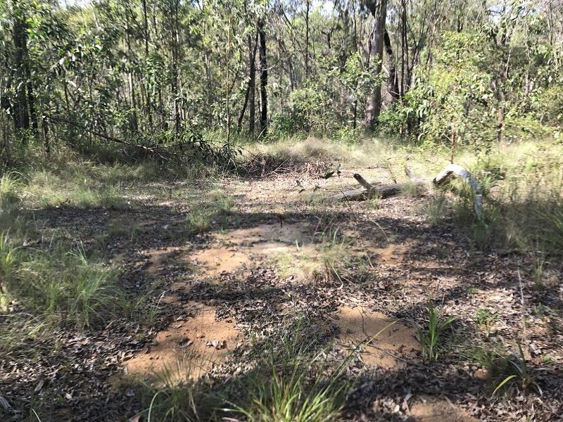 L149 Sugarbag Rd, Tabulam NSW 2469