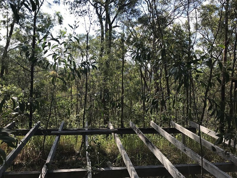 L149 Sugarbag Rd, Tabulam NSW 2469