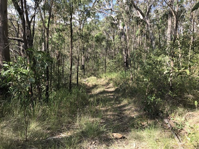 L149 Sugarbag Rd, Tabulam NSW 2469