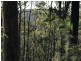 L149 Sugarbag Rd, Tabulam NSW 2469