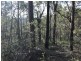 L149 Sugarbag Rd, Tabulam NSW 2469