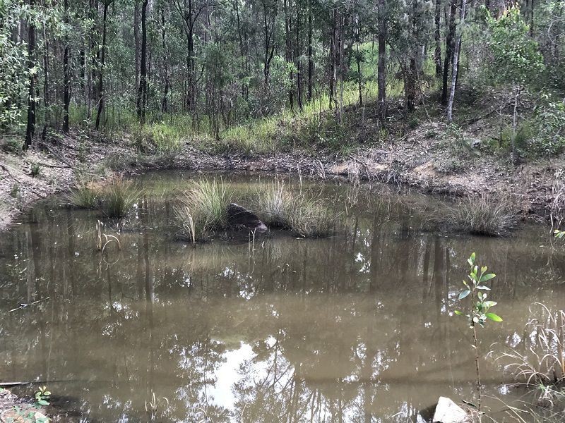 555 Sugarbag Rd St, Tabulam NSW 2469