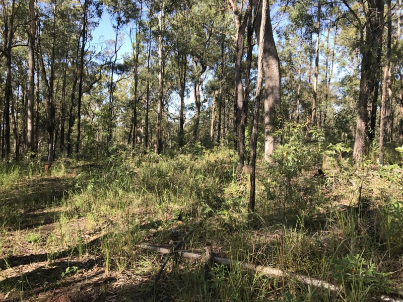 555 Sugarbag Rd St, Tabulam NSW 2469