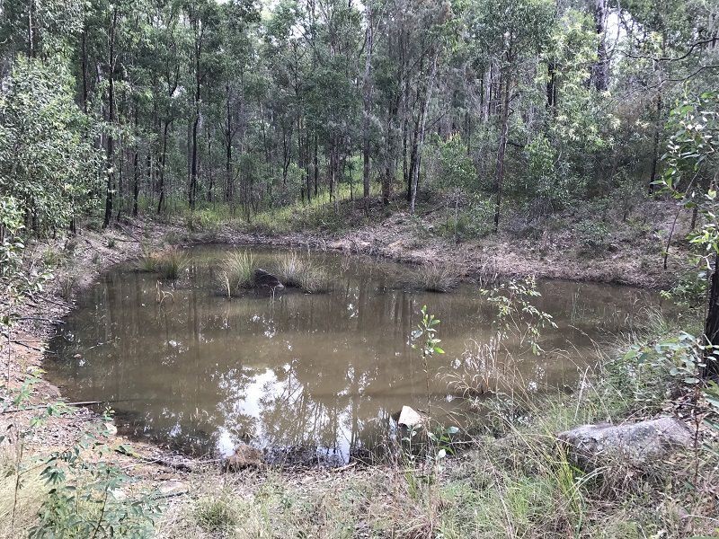 555 Sugarbag Rd St, Tabulam NSW 2469