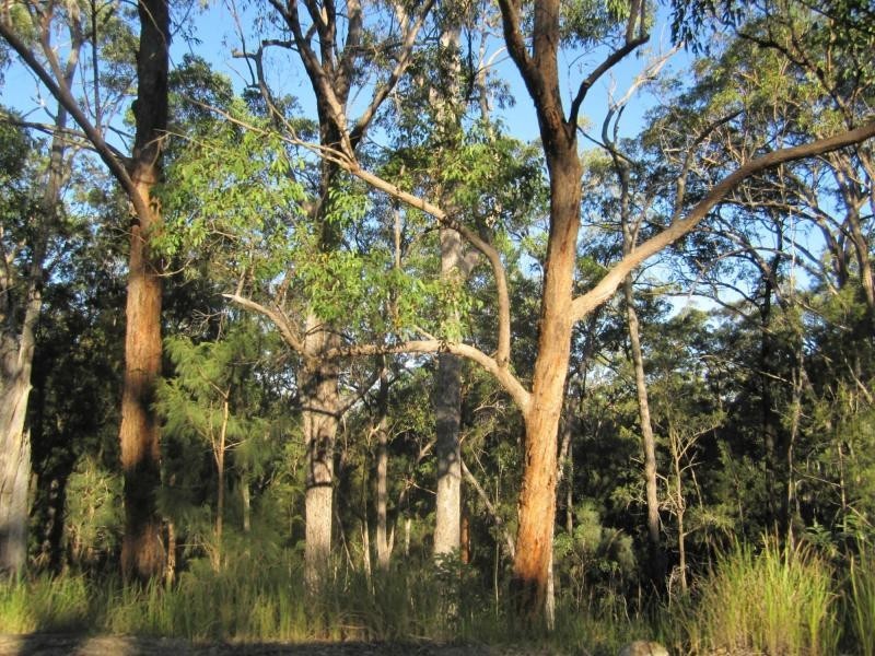 L1a Bruxner Hwy, Tabulam NSW 2469